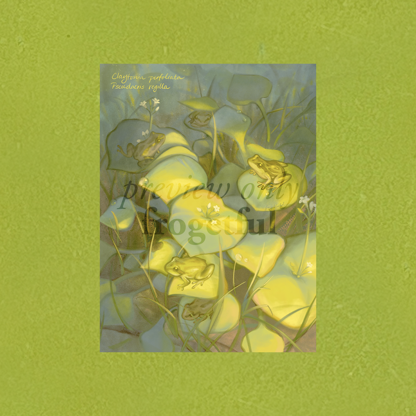 pacific tree frogs + miner's lettuce a5 print