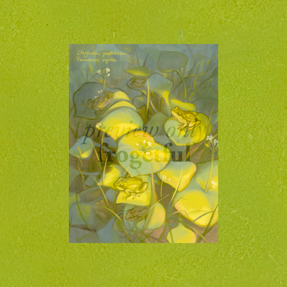 pacific tree frogs + miner's lettuce a5 print
