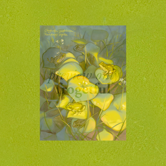 pacific tree frogs + miner's lettuce a5 print